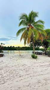 White Beach